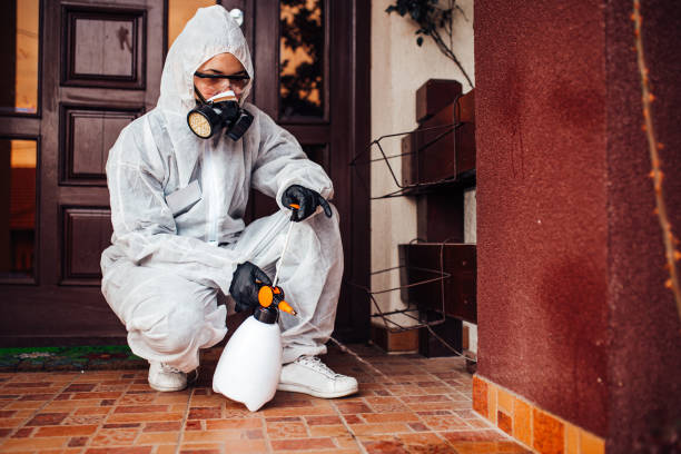 Reliable Cockroach Control contractor in Oxon Hill, MD by Nex Pest Control