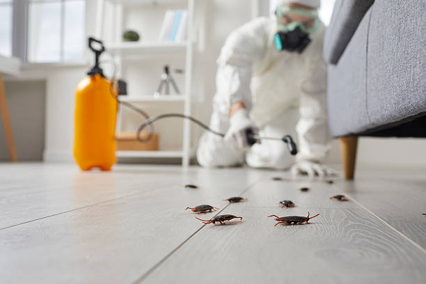 Trusted Cockroach Control service in Oxon Hill, MD - Nex Pest Control