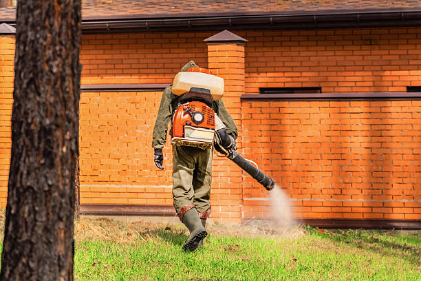 Trusted Bed Bug Control service in Oxon Hill, MD - Nex Pest Control